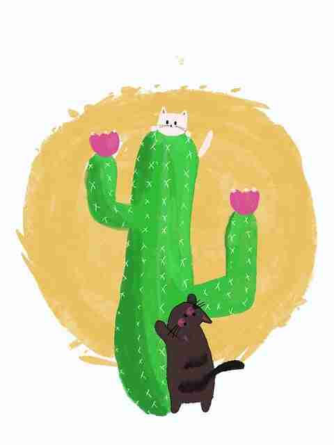 海角网页版——社区治理增长黑客实战手册