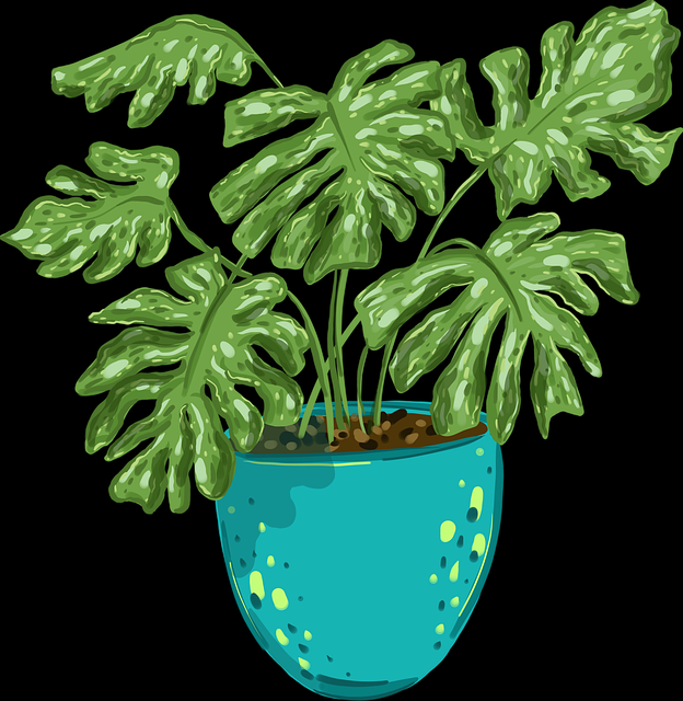 觅圈官网流量密码·冷启动独门心法