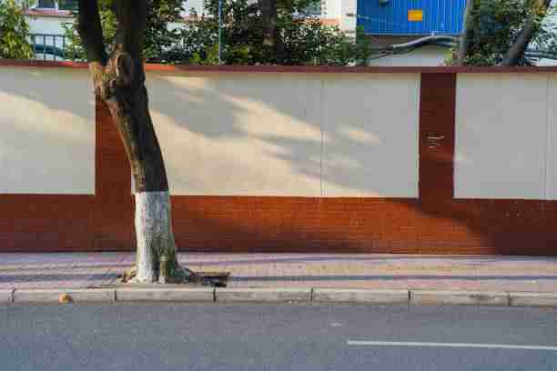 交互革命!榴莲社区app内容攻略独家档案(210 )