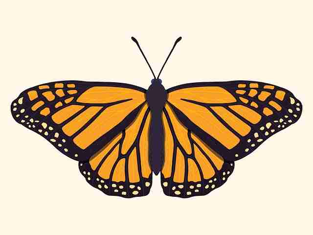 91在线——法务警示安全防线幕后真相