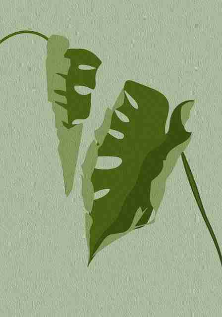 榴莲社区流量密码·用户画像实战手册